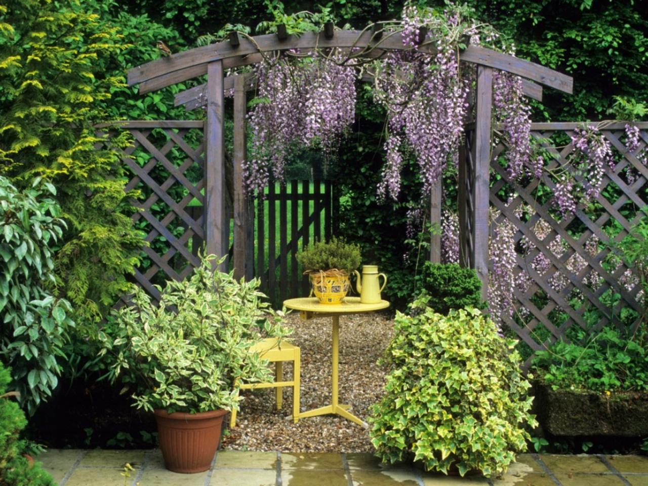 Vine covered pergola