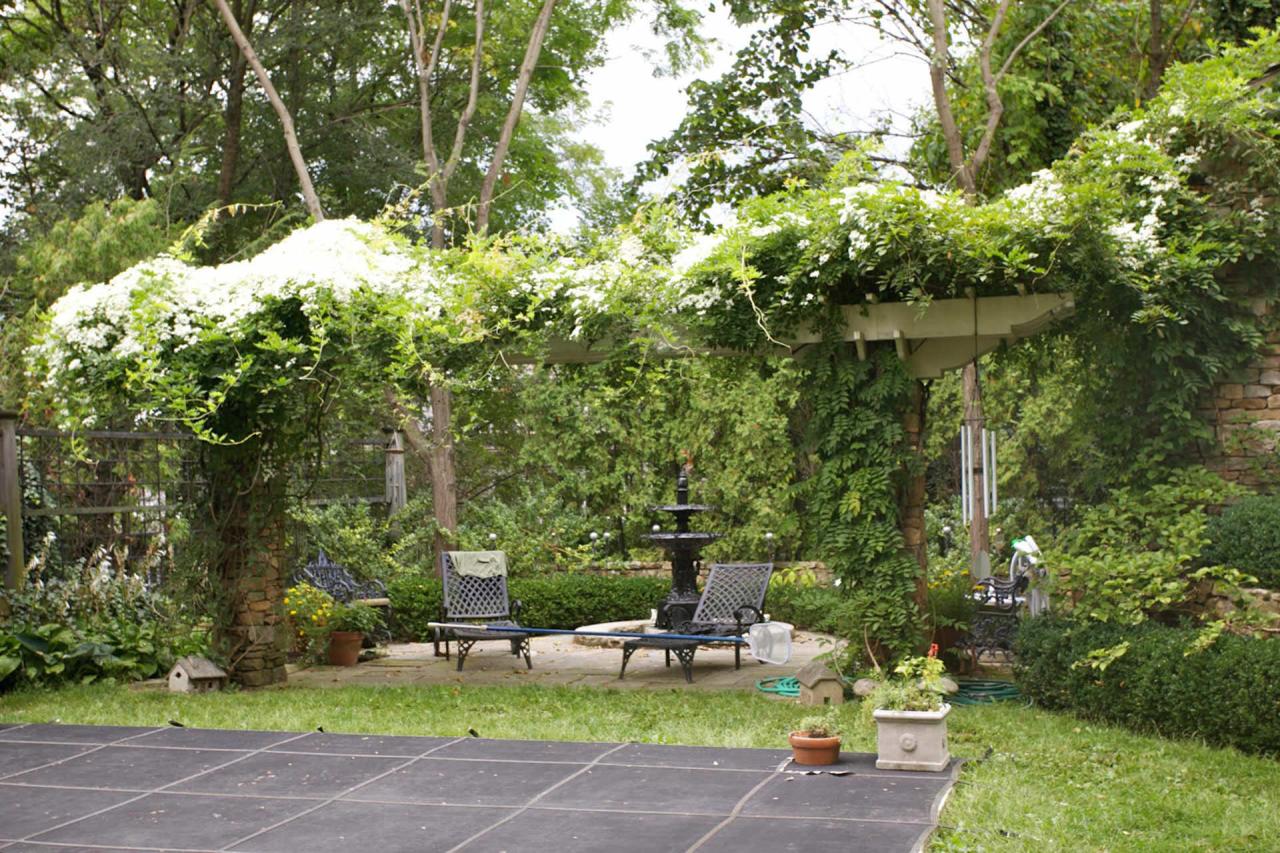 Vine covered pergola