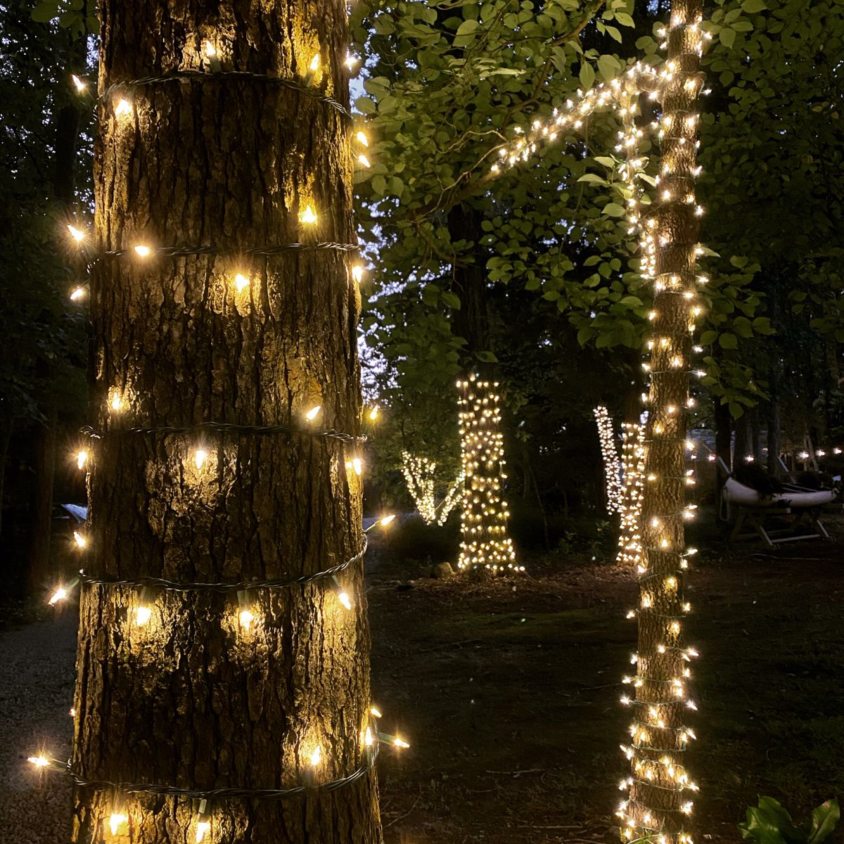 How to string lights on a tree