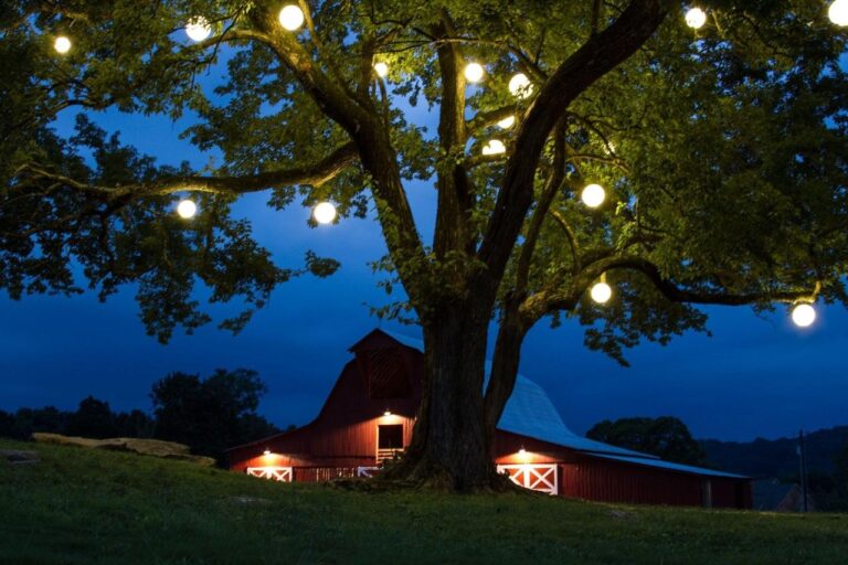 How to string lights on a tree