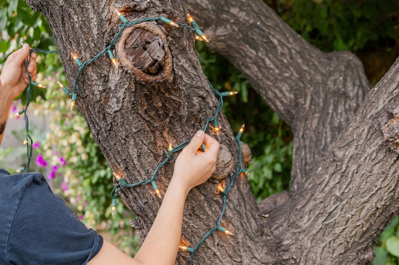 How to string lights on a tree