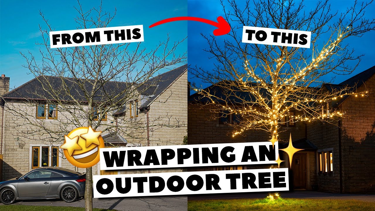 How to string lights on a tree