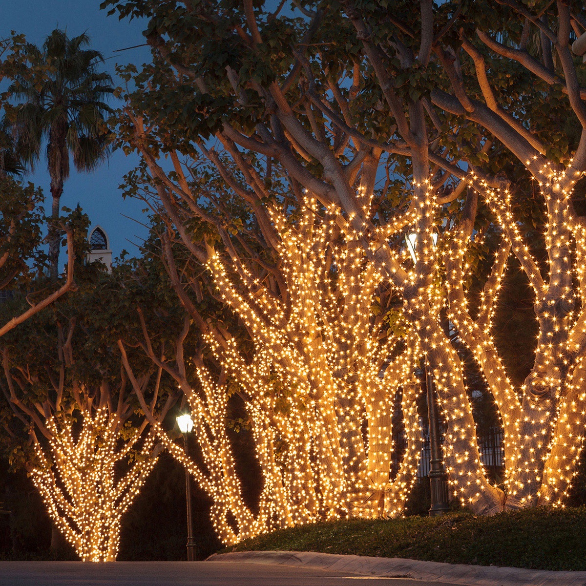 How to string lights on a tree